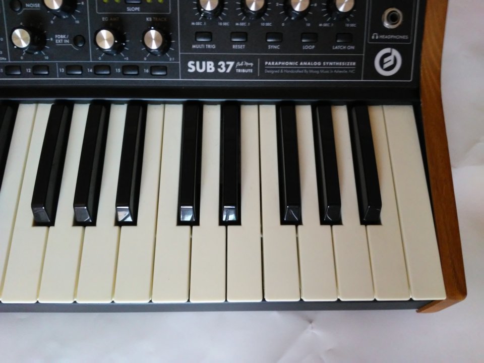 Moog sub 37 (reestreno) de segunda mano · Foto 6 de 8 · Illes Balears · 1300 €