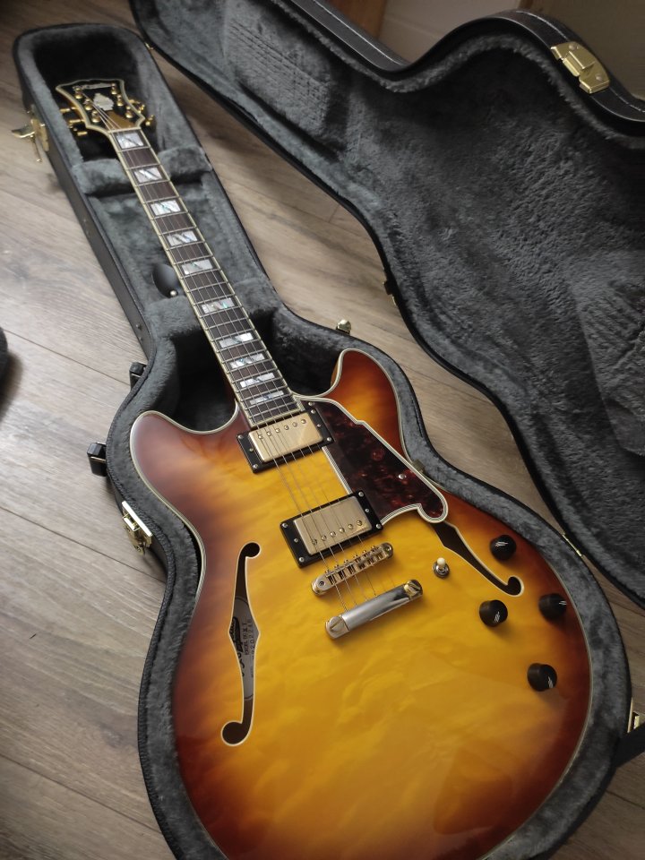 D'angelico Excel DC xt