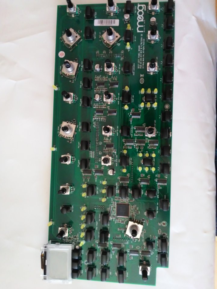 Moog sub 37 (reestreno) de segunda mano · Foto 7 de 8 · Illes Balears · 1300 €