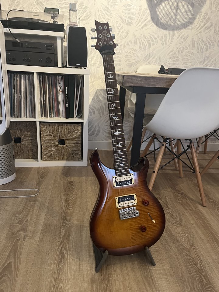 cambios dentro PRS SE custom 24 con EMG