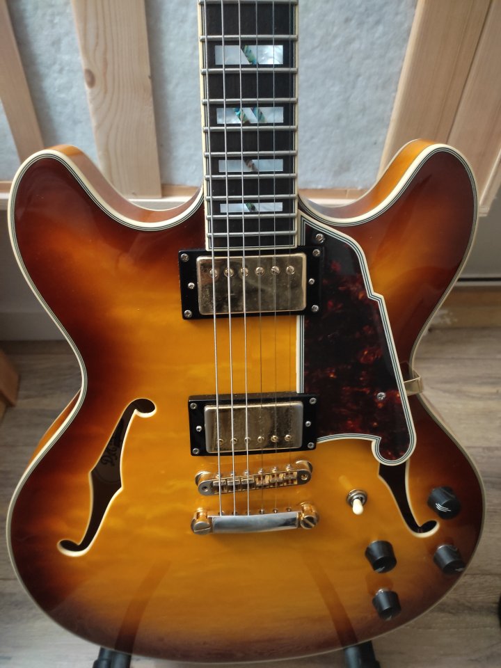 D'angelico Excel DC xt