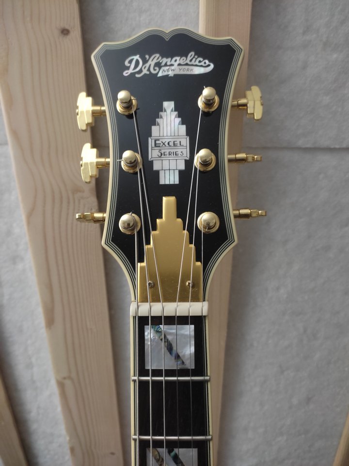 D'angelico Excel DC xt
