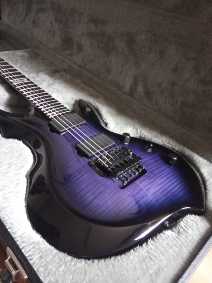 ESP EII FRX de segunda mano · Foto 5 de 6 · Madrid · 2200 €