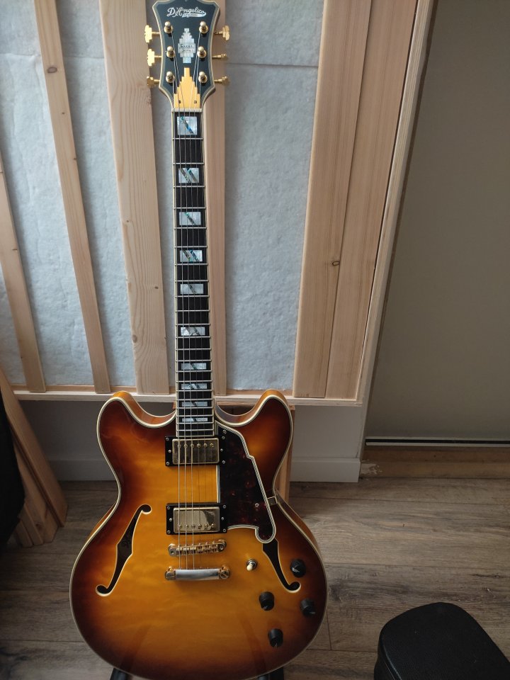 D'angelico Excel DC xt