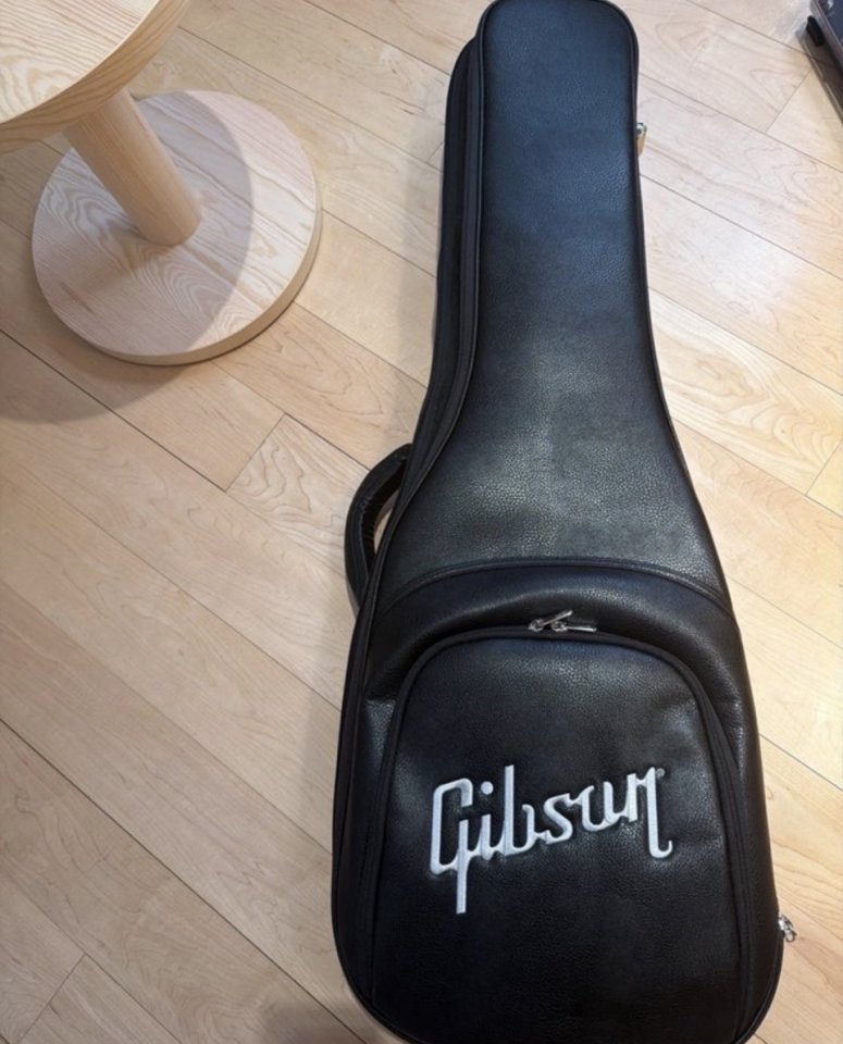 Gibson SG Standard Ebony de segunda mano · Foto 4 de 4 · Valencia · 1100 €