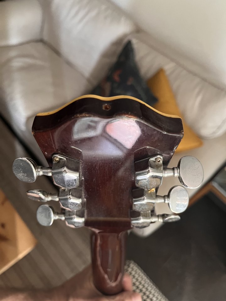 Epiphone FT-150 Bard (Norlin Era) MIJ 1976 de segunda mano · Foto 5 de 5 · Córdoba · 399 €