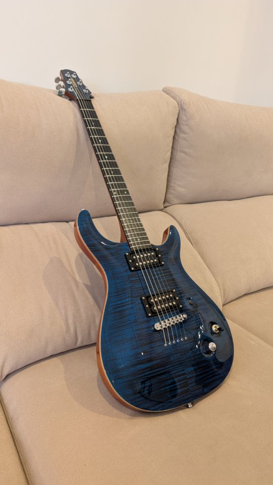 Carvin CT6 de segunda mano · Foto 1 de 10 · Albacete · 1950 €