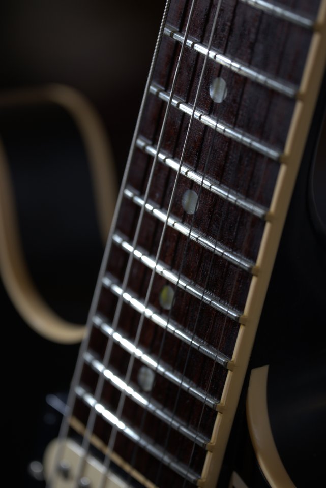 Gibson ES-335 2011 Custom Shop Limited Edition Trad Pro Zebra