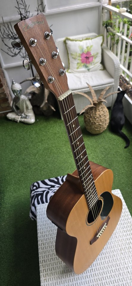 Tanglewood de segunda mano · Foto 2 de 10 · Madrid · 150 €