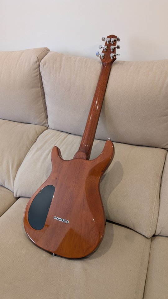 Carvin CT6 de segunda mano · Foto 7 de 10 · Albacete · 1950 €