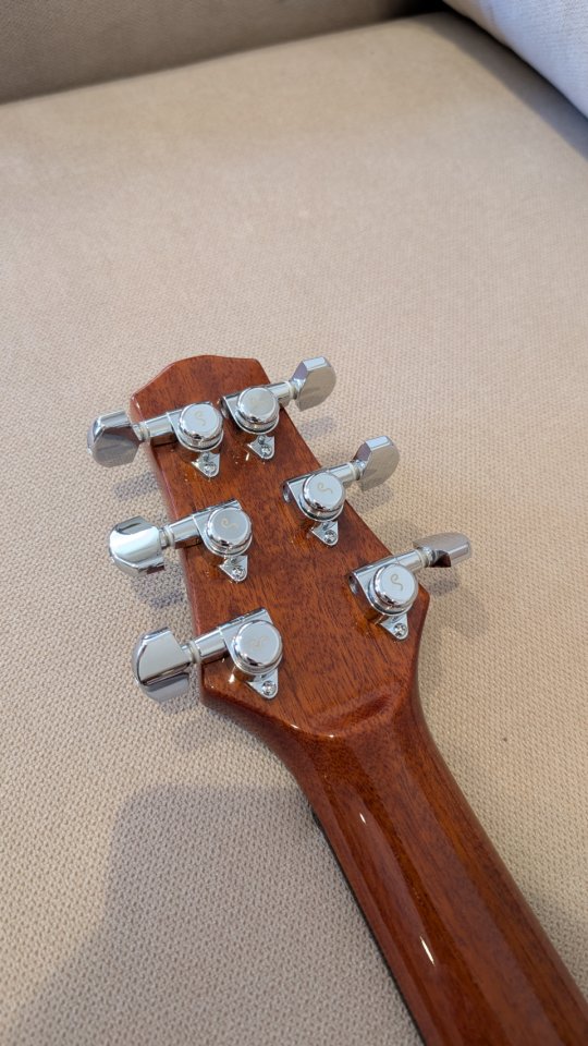 Carvin CT6 de segunda mano · Foto 8 de 10 · Albacete · 1950 €