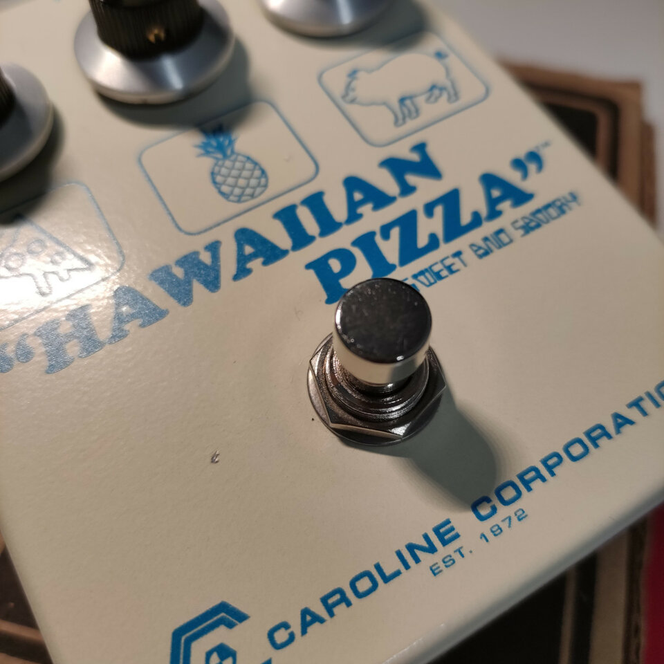 Hawaiian Pizza Fuzz - Caroline Co. de segunda mano · Foto 5 de 8 · Madrid · 150 €