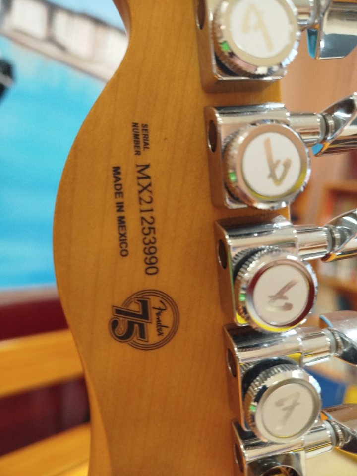 Fender Telecaster Player Plus