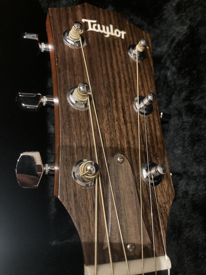 TAYLOR 414CE + Estuche original de Taylor.