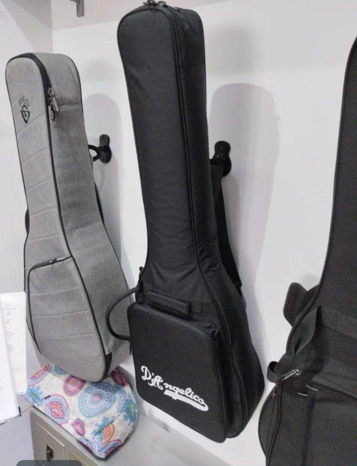 D' Angelico mini DC con pastillas B&B por Telecaster