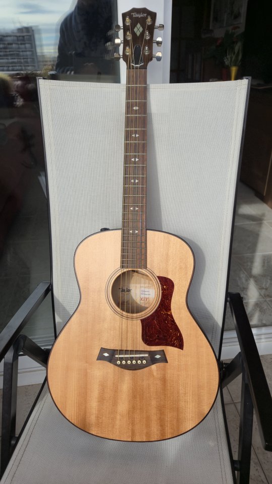 Taylor Urban Ash GTe