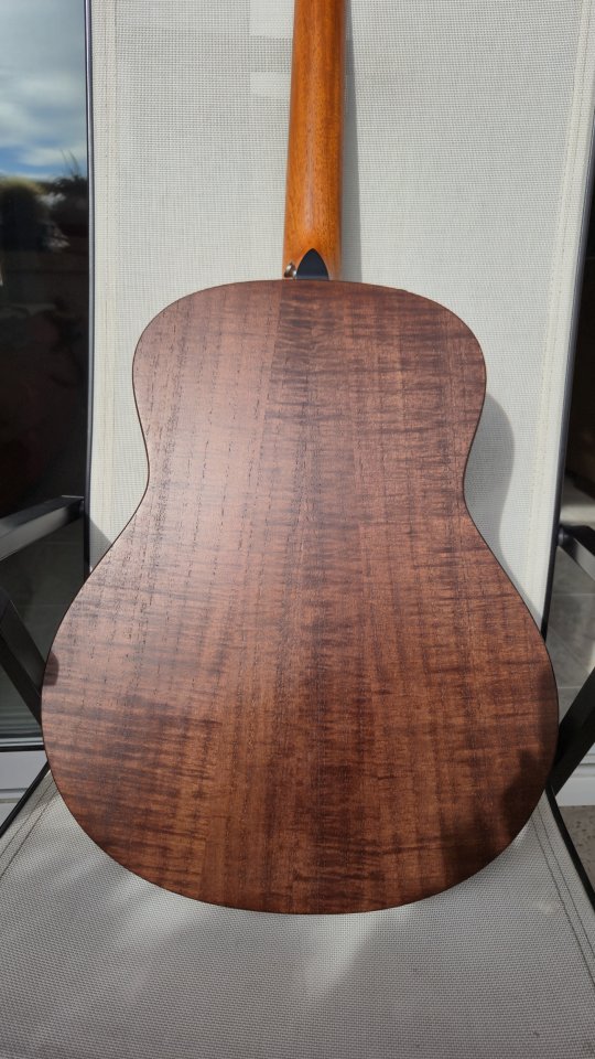 Taylor Urban Ash GTe