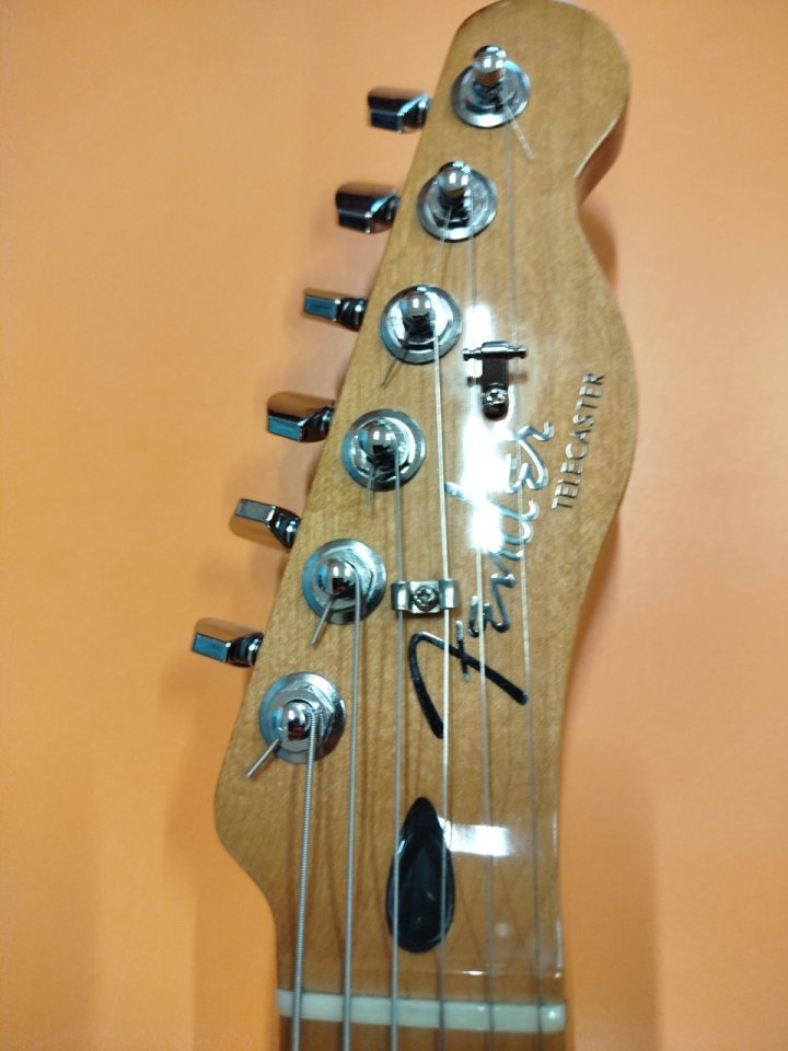 Fender Telecaster Player Plus