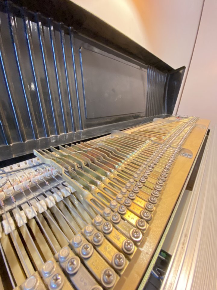 Fender Rhodes MKII 1979 con Retroflyer / teclas madera