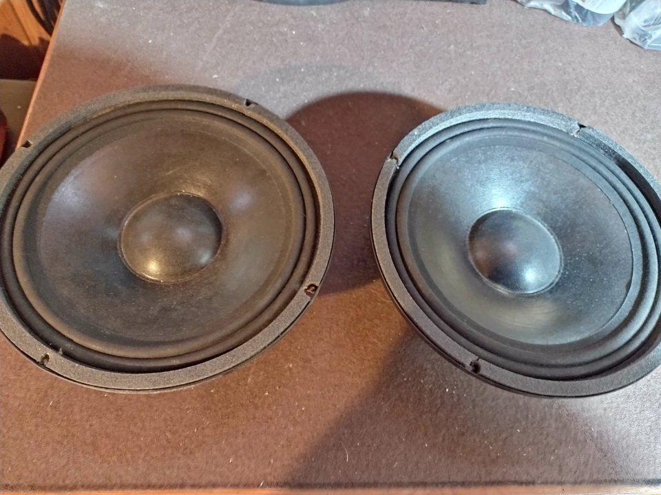 altavoces de 8"