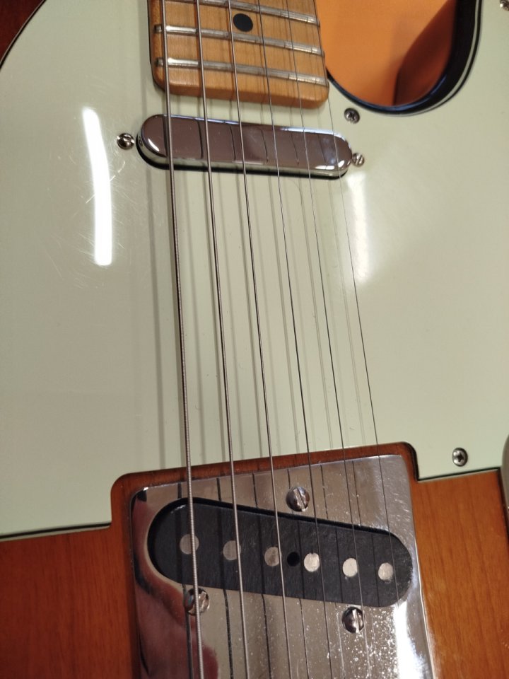 Fender Telecaster Player Plus