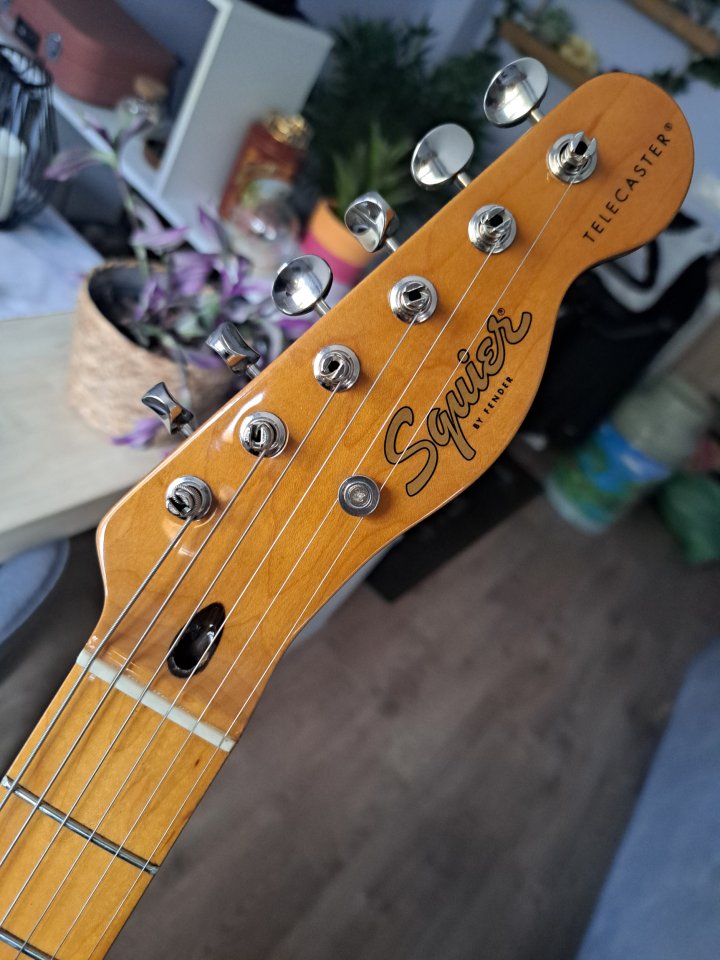 Squier telecaster CV 50s (made in China)