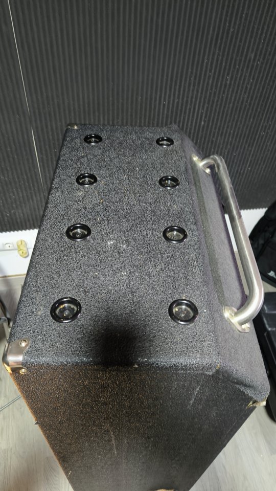 Vendo pantalla Ampeg SVT-810E de segunda mano · Foto 5 de 5 · Barcelona · 995 €