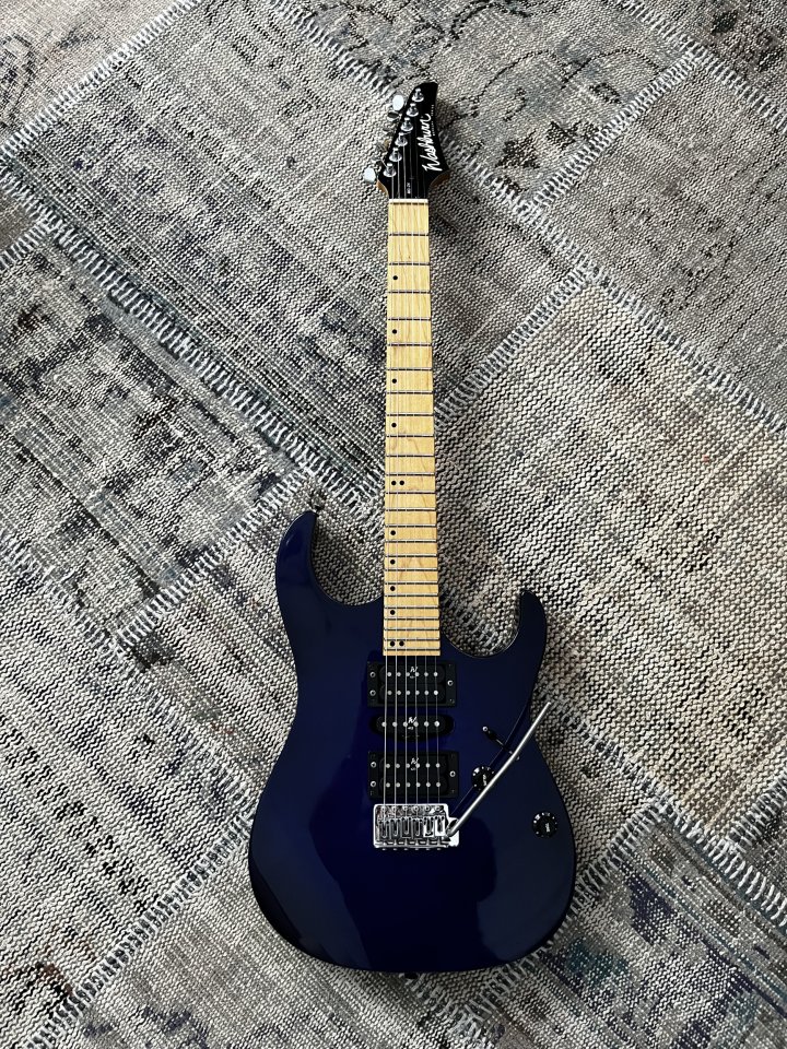 Washburn MG-24 Mercury Series