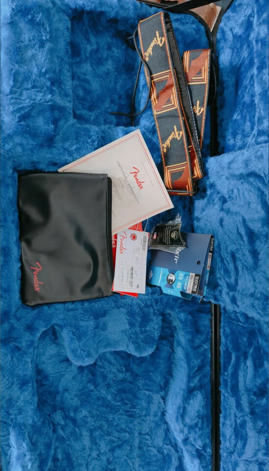 Fender am stratocaster 75 aniversario