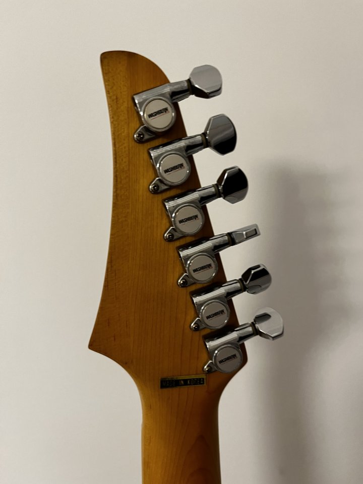 Washburn MG-24 Mercury Series