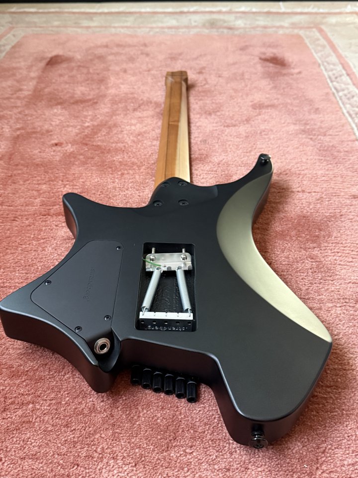 Strandberg Boden Metal NX6 Tremolo