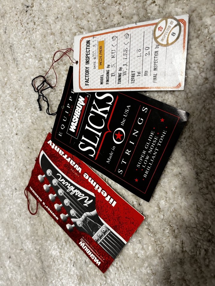 Washburn MG-24 Mercury Series