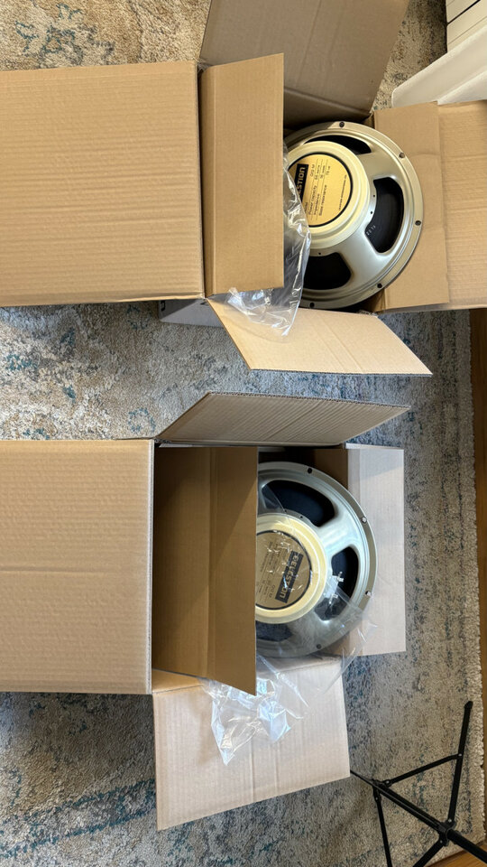 2 x Altavoces Celestion Creamback G12M-65 16Ohms