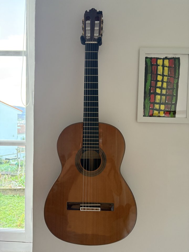 Guitarra Contreras