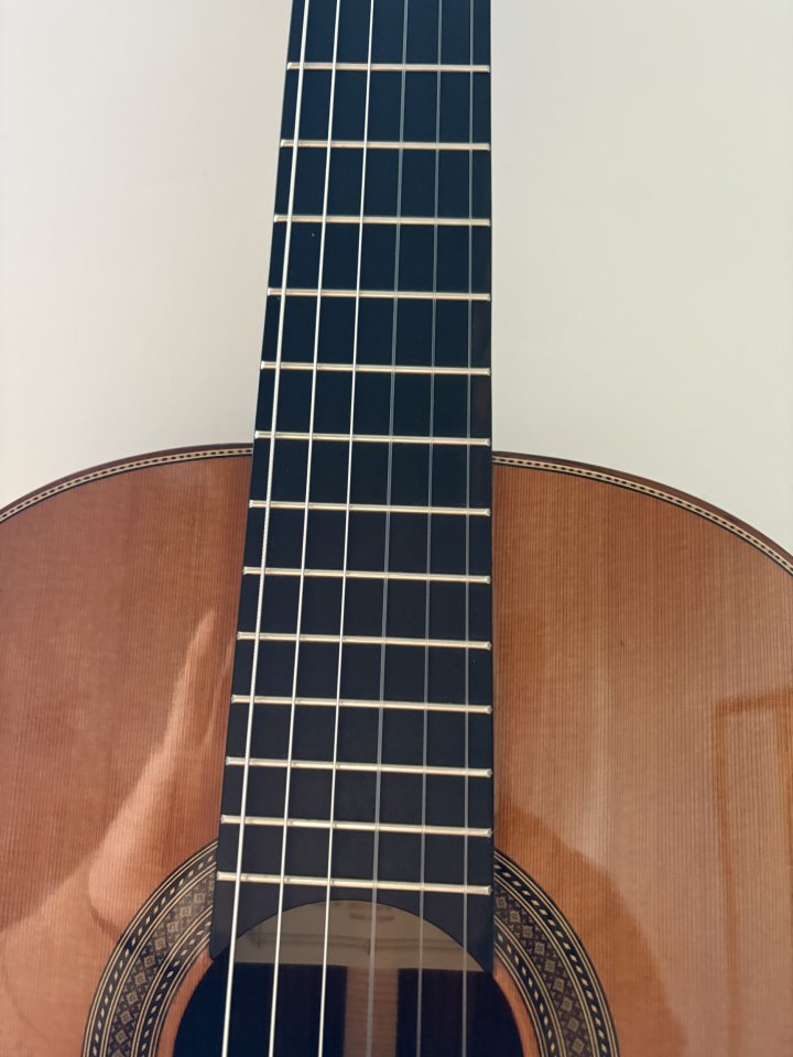 Guitarra Contreras