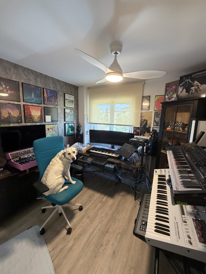 Udo audio super Gemini, novation summit, iridium core,etc.. de segunda mano · Madrid · 3900 €