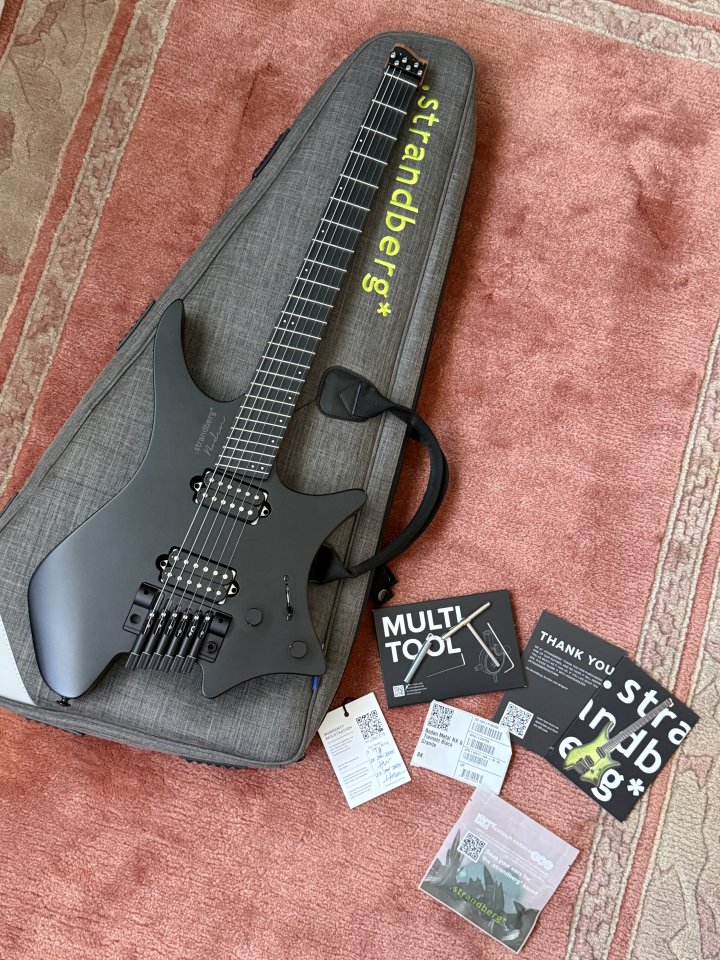 Strandberg Boden Metal NX6 Tremolo