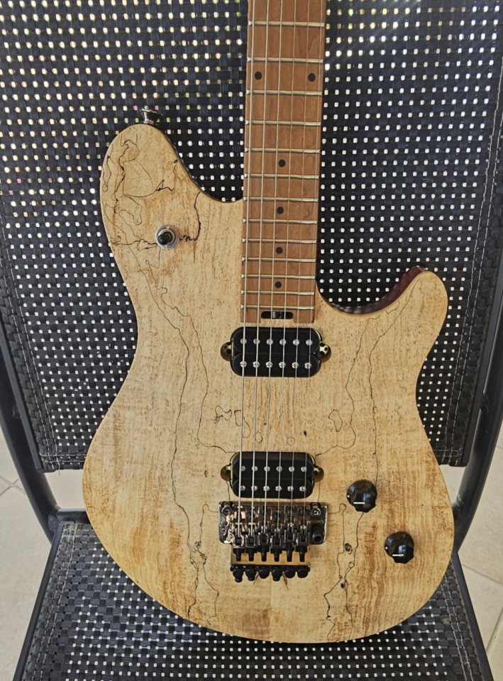 EVH Wolfgang Standard de segunda mano · Foto 1 de 5 · Cáceres