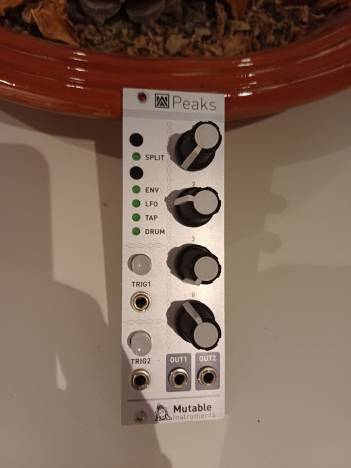 Mutable Peaks Eurorack de segunda mano · Zaragoza · 150 €