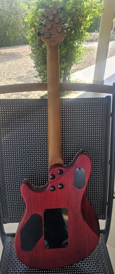 EVH Wolfgang Standard de segunda mano · Foto 2 de 5 · Cáceres