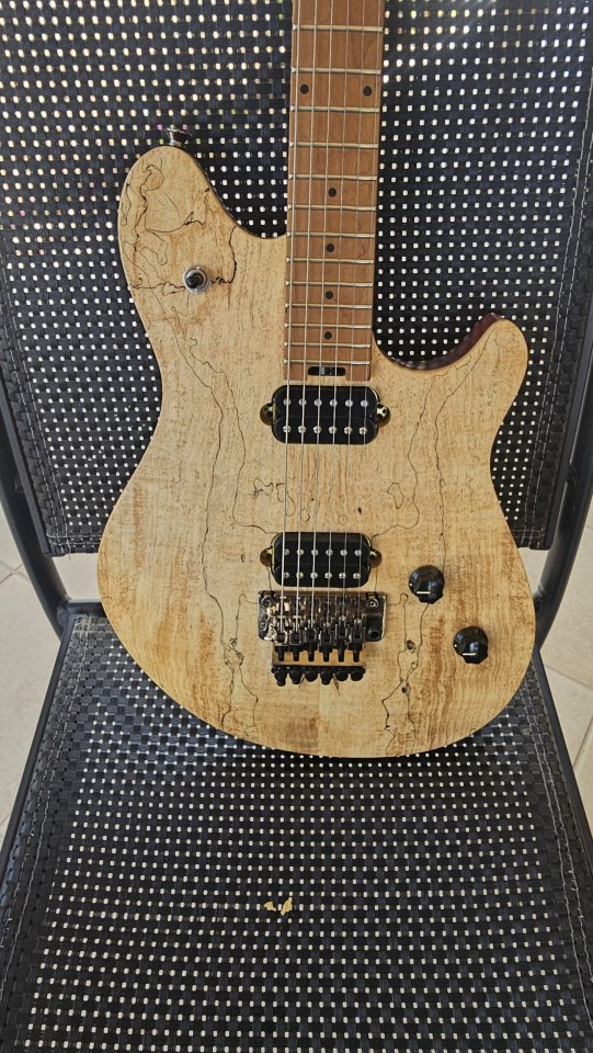 EVH Wolfgang Standard de segunda mano · Foto 3 de 5 · Cáceres