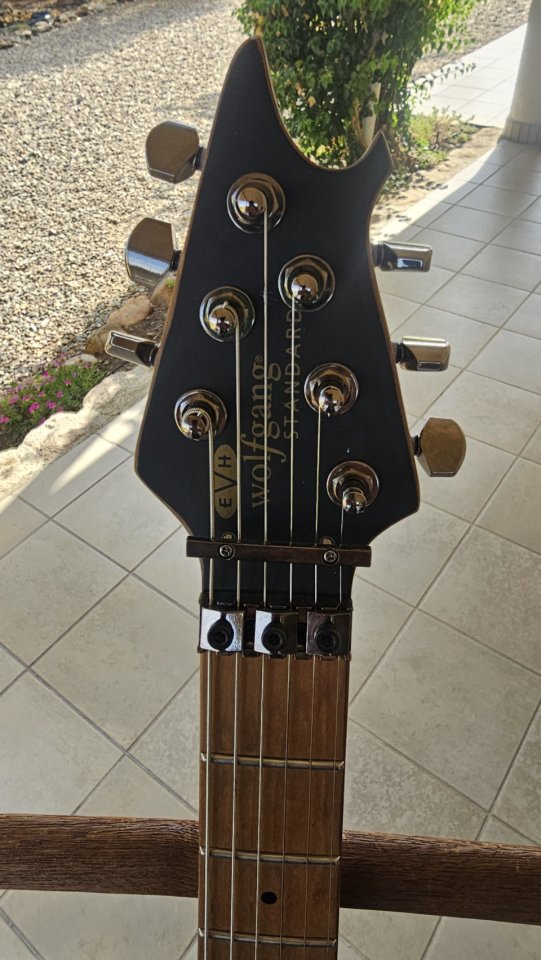 EVH Wolfgang Standard de segunda mano · Foto 4 de 5 · Cáceres