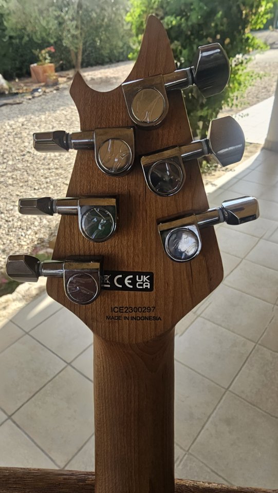 EVH Wolfgang Standard de segunda mano · Foto 5 de 5 · Cáceres