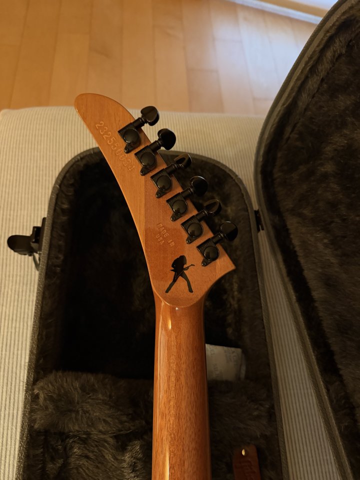 Guitarra Gibson Dave Mustaine Flying V AN de segunda mano · Foto 3 de 6 · Valencia · 1800 €
