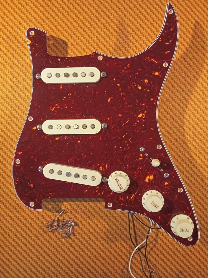 Golpeador completo tortoise con pastillas Fender Designed (Alnico) de segunda mano · Foto 1 de 3 · Madrid · 60 €