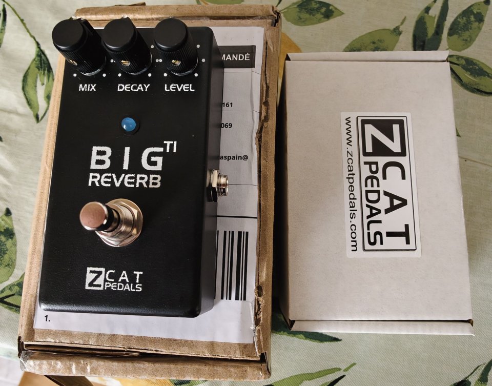 ZCAT Big Reverb TI - Pedal FX Reverb infinite decay NUEVO.