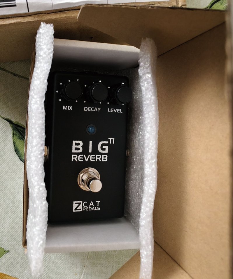 ZCAT Big Reverb TI - Pedal FX Reverb infinite decay NUEVO.