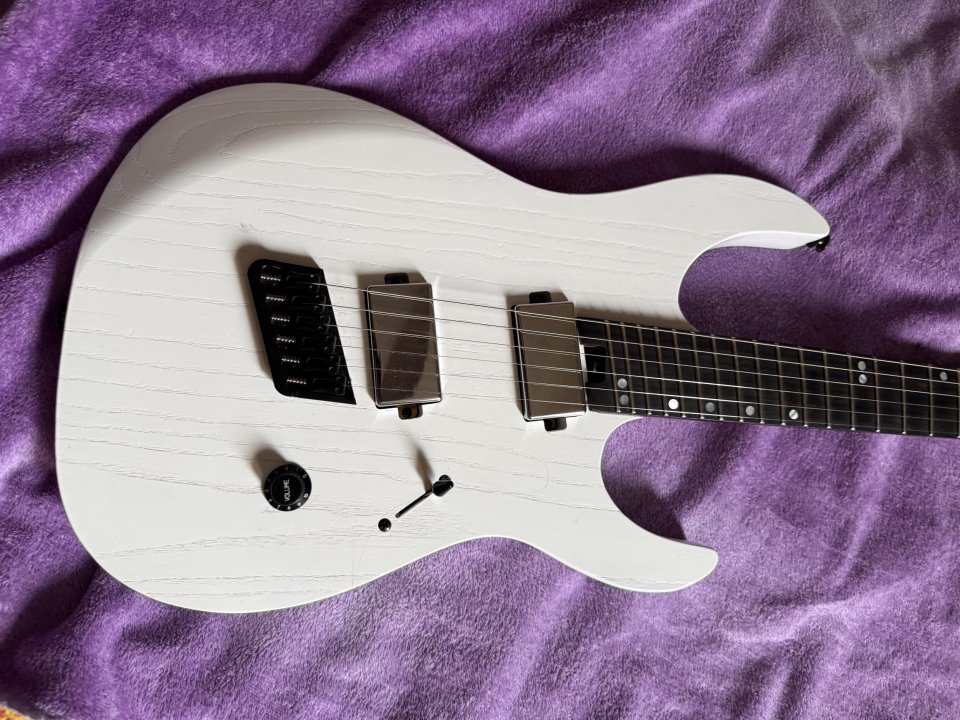 Guitarra Legator N6FP Ninja MS SnowFall(Rebaja por unos días)