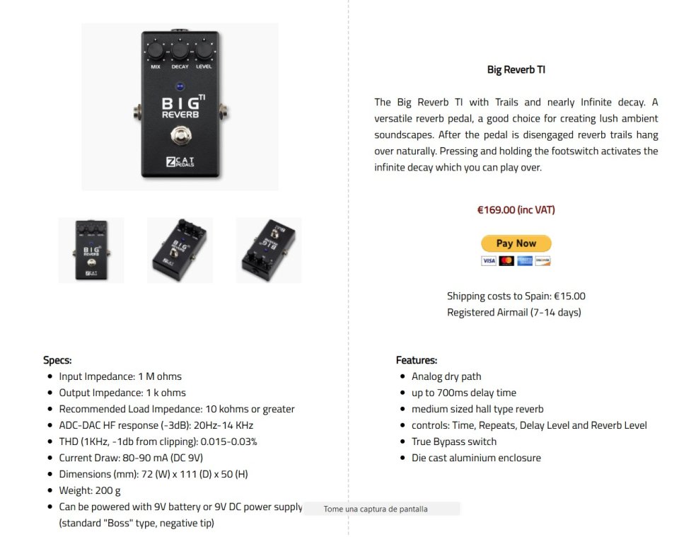 ZCAT Big Reverb TI - Pedal FX Reverb infinite decay NUEVO.