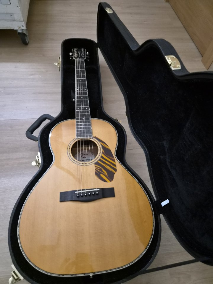 Fender PS220-e nat de segunda mano · Foto 1 de 10 · Palencia · 450 €